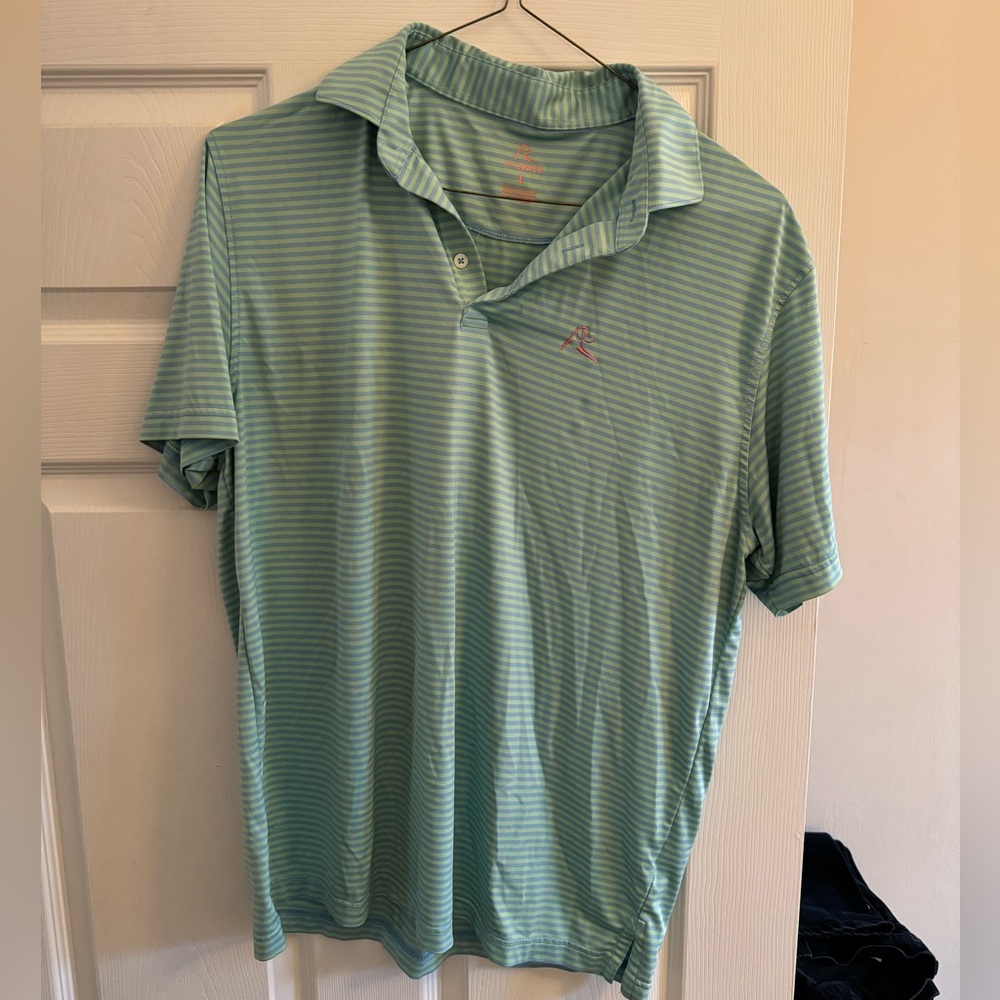 Rhoback Blue and Green Striped Polo